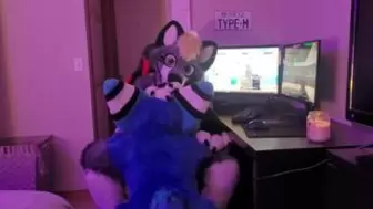 Gamer Furry Gets Blowed Off & rides Sweet Wolf Bitch In Return