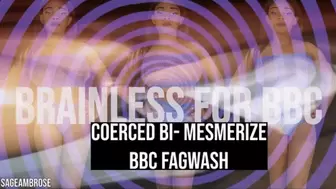 BBC FagWash