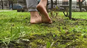 DIRTY FEET WALKING ON GRASS - MP4 Mobile Version