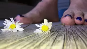 Italian girlfriend - Spring flowers crush with toes closeup