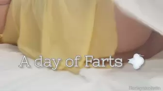 A Day of Farts