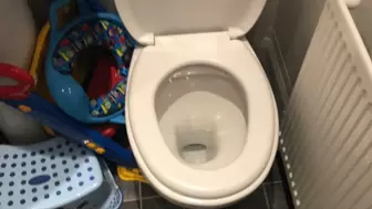 AUDIO ONLY: Girlfriends constipated birthday toilet dump