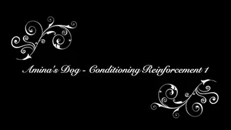 Amina's Pet - Conditioning Reinforcement 1