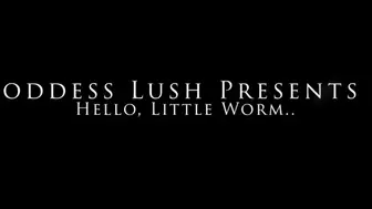 Hello little worm