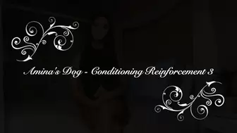 Amina's Pet - Conditioning Reinforcement 3