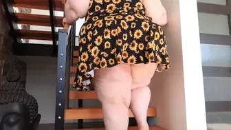 Too fat for stairs!