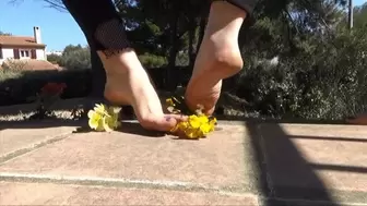 Twin sisters crushes lot of flowers and ground