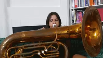 Chichi Tries to Coax a Sound Out of a Tuba (MP4 1080p)