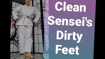 Karate Dirty Feet Cleaner