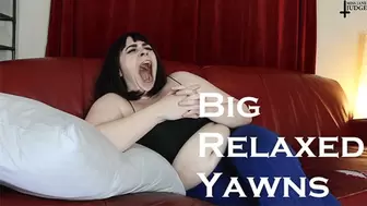Big Relaxed Yawns WMV