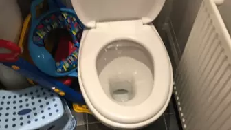 AUDIO ONLY: Girlfriend takes a nice crackly toilet dump