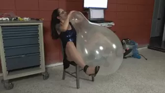 Akira Blows a 24" Round Balloon to Bursting (MP4 - 1080p)