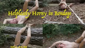 Helplessly Horny in Bondage, 2021-05-20