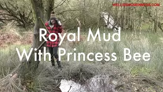 royal mud