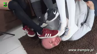 Licking shoes