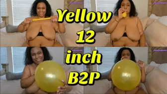 Yellow 12 inch Balloon B2P Standard WMV
