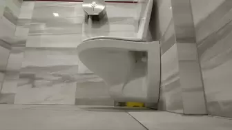 Compilation of 12 Delicious new toilet visits at work