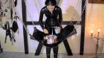 Feeding of pet-slaves