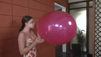 Scarlet Blows a 24" Round Balloon to Bursting (MP4 - 1080p)