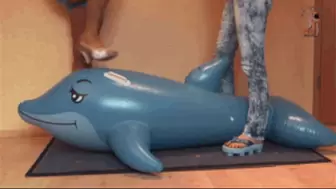 Inflatable Dolphin crush
