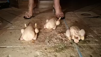 Italian girlfriend - 3 chickens and 2 transparent heel crush fetish