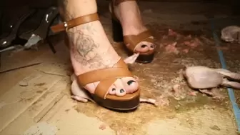 Italian girlfriend - Stomping quails in platform heel crush fetish