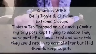 Giantess VORE Extreme Chewing Closups Tinies w Tea stuck & Trapped on a Crunchy Cookie my tiny pets kept trying to escape They were part of a clinical trial and were told they could return to normal after the trial was over but i hid them to keep as pets