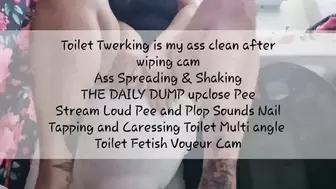 Toilet Twerking is my ass clean after wiping cam Ass Spreading & Shaking THE DAILY DUMP upclose Pee Stream Loud Pee and Plop Sounds Nail Tapping and Caressing Toilet Multi angle Toilet Fetish Voyeur Cam avi