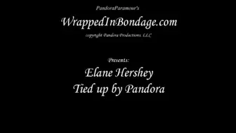 Pandora Ties up Elane Hershey wmv