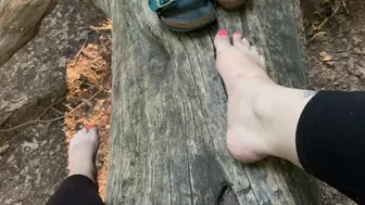 Barefoot Sitting on a Tree