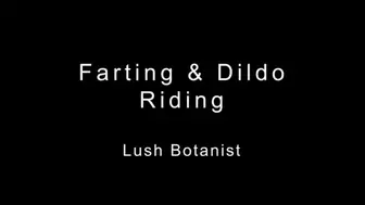 Farting and Dildo Riding