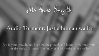 Audio Torment: Just a human wallet