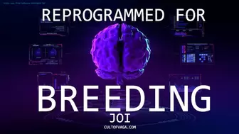 Reprogrammed for Breeding JOI Mesmerize