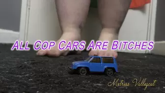 All Cop Cars Are Bitches (wmv)