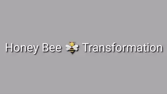 Honey Bee Transformation Trance