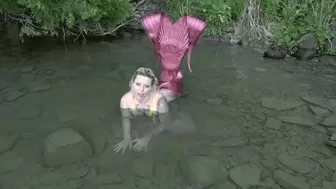 Mermaid JOI