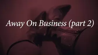 Away On Business (pt 2)