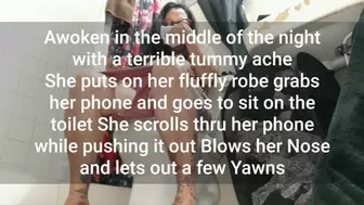 Sleepy milf Awoken in the middle of the night with a terrible tummy ache She puts on her fluffly robe grabs her phone and goes to sit on the toilet She scrolls thru her phone while pushing it out Blows her Nose and lets out a few Yawns toilet fetish