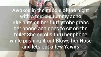 Sleepy milf Awoken in the middle of the night with a terrible tummy ache She puts on her fluffly robe grabs her phone and goes to sit on the toilet She scrolls thru her phone while pushing it out Blows her Nose and lets out a few Yawns toilet fetish voyeu