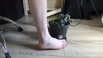 Christine plays barefoot with a potted plant and flowers