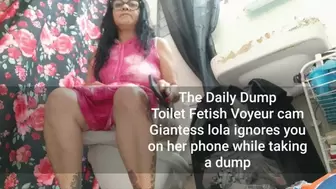 The Daily Dump Giantess Unaware Voyeurcam Toilet fetish time milf ignores you on phone while taking a dump
