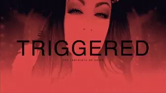 Triggered - The Labyrinth of Voices 4K