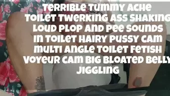 Terrible Tummy Ache Toilet Twerking Ass Shaking Loud plop and pee sounds In Toilet Hairy pussy cam multi angle Toilet Fetish Voyeur cam Big Bloated Belly Jiggling avi