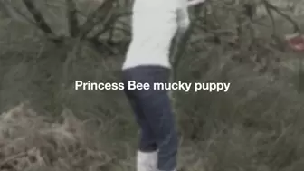 princess bee the mucky puppy