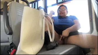 Public Masturbation on bus