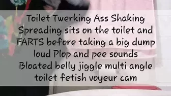 Toilet Twerking Ass Shaking Spreading sits on the toilet and FARTS before taking a big dump loud Plop and pee sounds Bloated belly jiggle multi angle toilet fetish voyeur cam avi