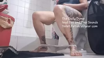 The Daily Dump loud Pee and Plop Sounds Toilet Fetish Voyeur cam