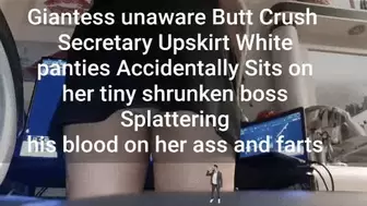 Giantess unaware Butt Crush Secretary Upskirt White panties Accidentally Sits on her tiny shrunken boss Splattering his body on her ass leaving red drips and farts avi