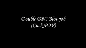 Double BBC Blowjob Cuck POV