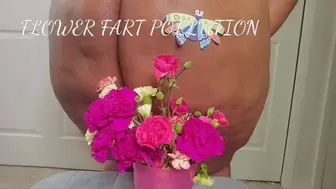 FLOWER FART POLLUTION